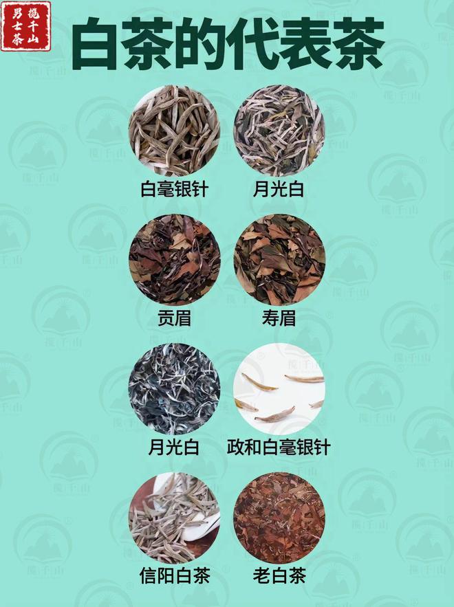 中国六大茶类的代表茶你喝过几种？(图5)