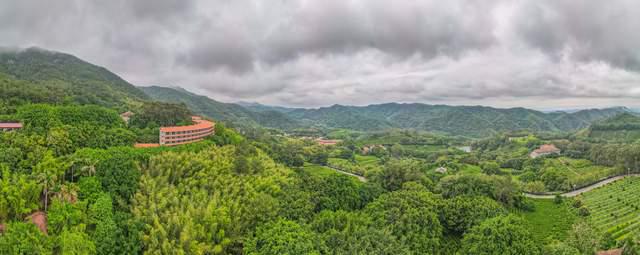 茗茶远离城市的喧嚣在青山绿水间尽情放松身心享受自然(图9)