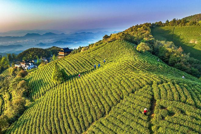 12月18日！天下茗茶聚径山共赴“茶圣”之约(图1)