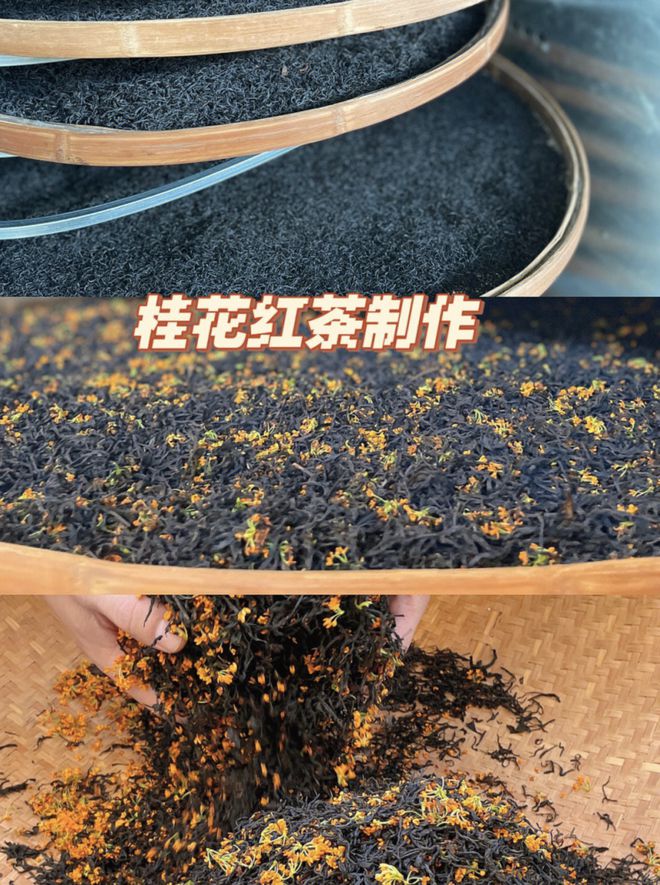 送茶具！89元入烘焙桂花红茶正宗好喝回味悠长甘甜花香沉醉迷人(图12)