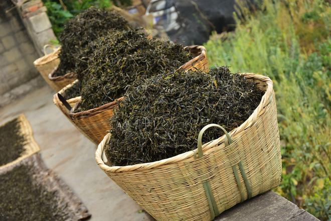 亿百体育：茶叶比产能过剩更可怕的是：价格虚高老百姓消费不起好茶！(图3)