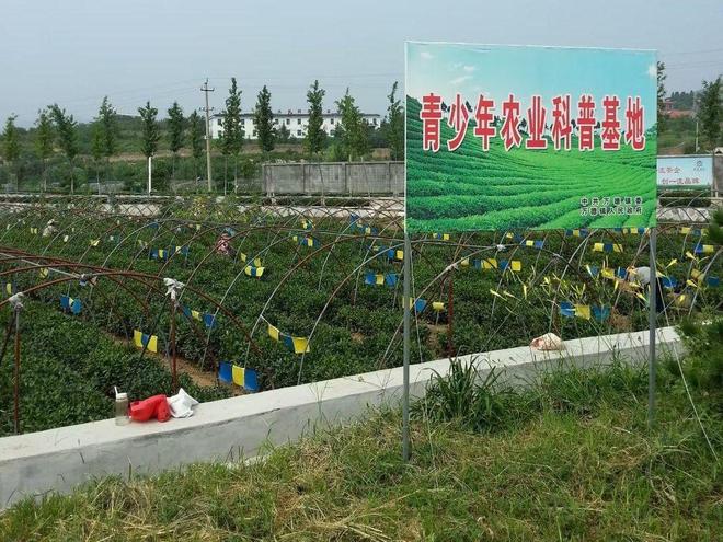 亿百体育：泉城茗茶长清常青——四寻茗茶山东济南调研茶叶资源(图2)