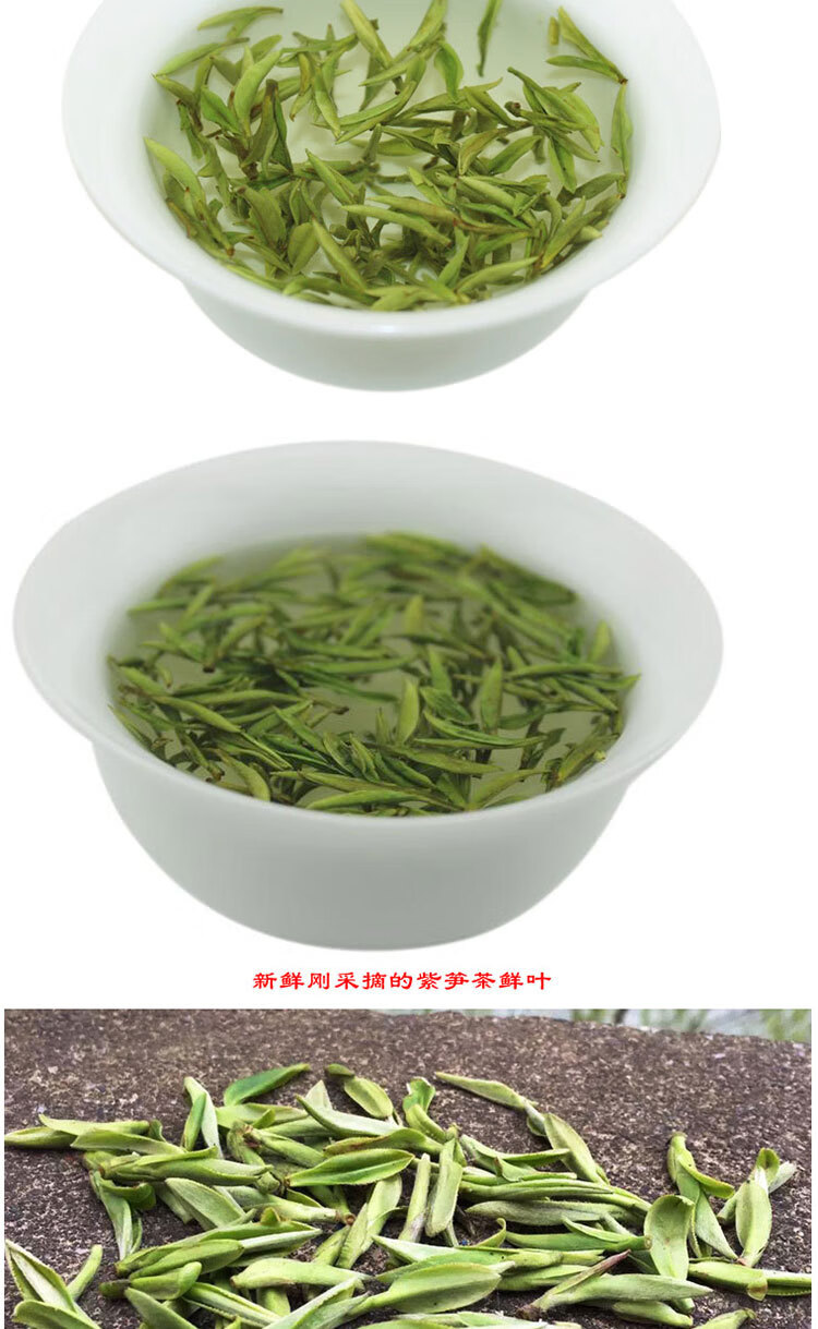 亿百体育：茶叶有哪些分类？红茶、绿茶、白茶等茶叶分别有哪些功效与作用？｜思维导图帮你看懂茶叶分类+茶叶冲泡攻略+平价好茶推荐