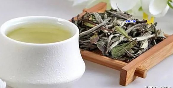 亿百体育：精选茗茶是什么品种-精选茗茶是什么品种的茶叶(图8)