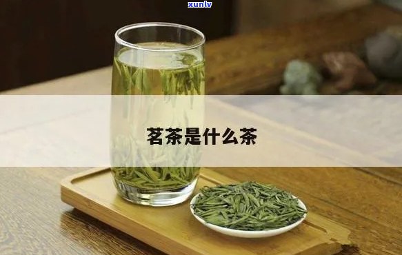 亿百体育：精选茗茶是什么品种-精选茗茶是什么品种的茶叶(图10)