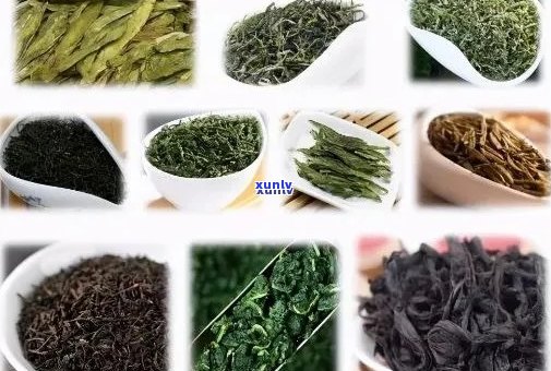 亿百体育：精选茗茶是什么品种-精选茗茶是什么品种的茶叶(图11)