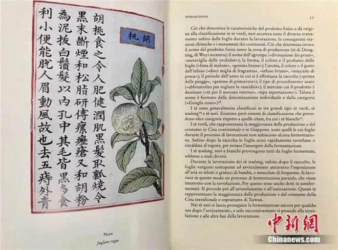 亿百体育：向世界敬一杯“武夷茶”汉学家赞称茶是中华文明的圣物(图7)