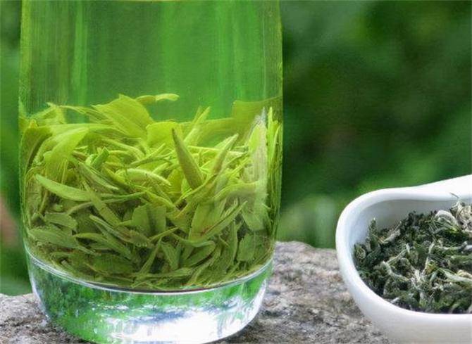 亿百体育：绿茶什么茶好喝一点？这6种茶你喝过几种你家乡产什么茶？(图6)