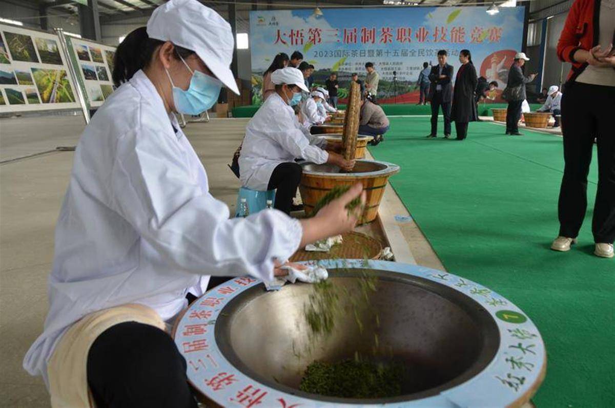 亿百体育：又是一年茶飘香湖北大悟30万亩春茶开始采摘(图1)