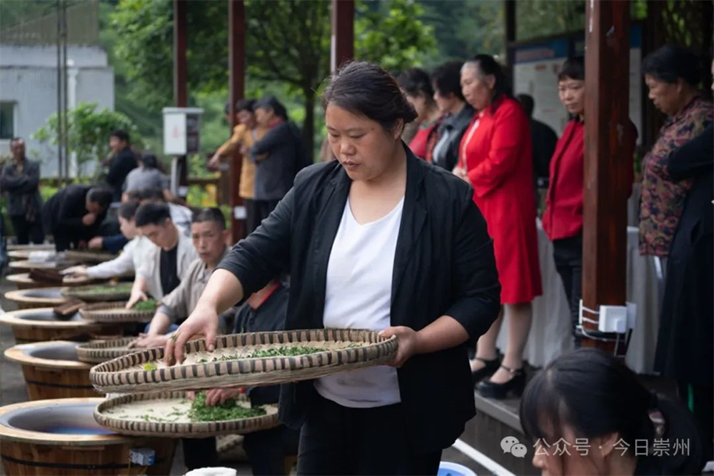 亿百体育：久等了崇州枇杷茶飘香上新(图6)