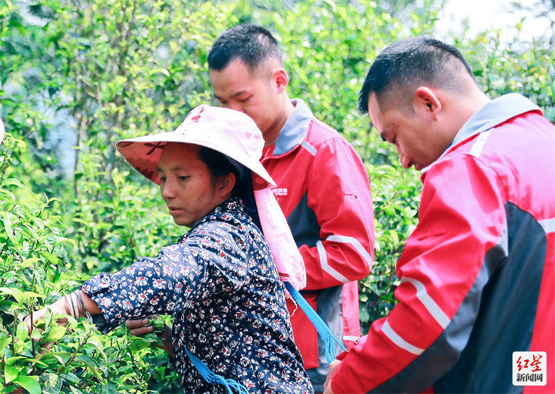 亿百体育：春季茶饮大数据报告：企业白领偏爱乌龙茶 花果茶是95后心头肉(图1)