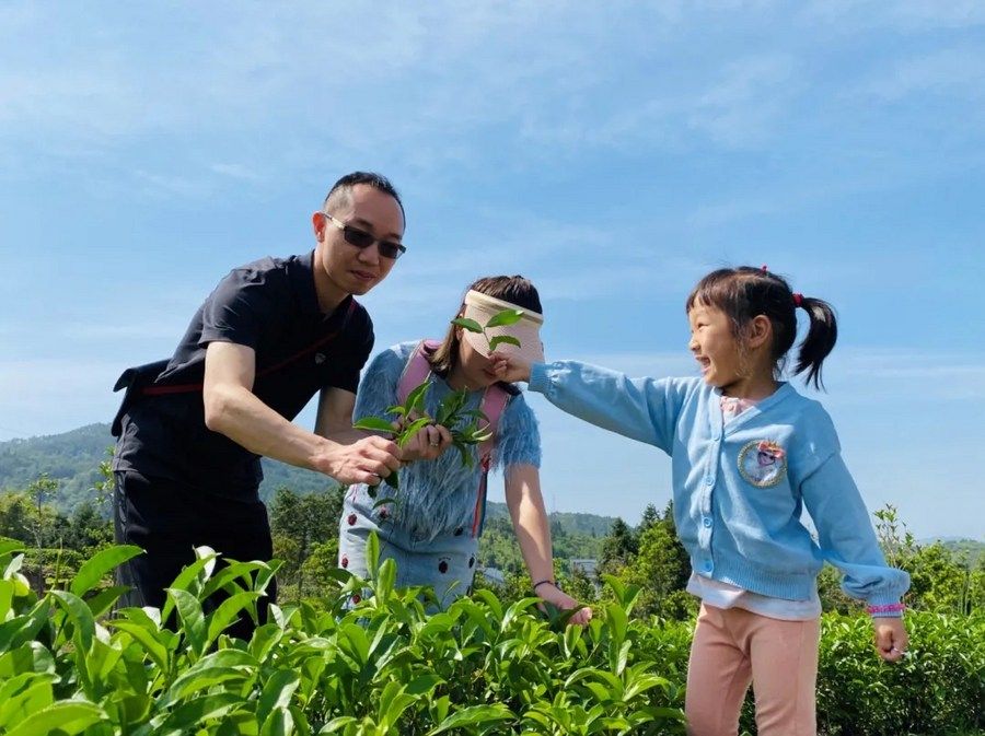 亿百体育：国际茶日丨茶叶、茶饮、茶文化……一杯茶的N种玩法(图7)