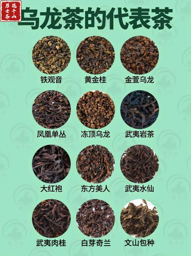 中国六大茶类的代表茶你喝过几种？(图4)