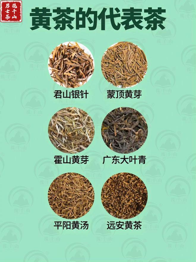 中国六大茶类的代表茶你喝过几种？(图7)