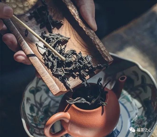 国内炒作过的茶叶：铁观音普洱茶岩茶(图1)