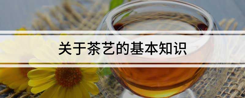 亿百体育平台关于茶艺的基本知识(图1)