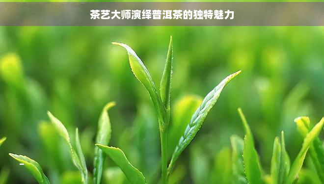 茶艺大师演绎普洱茶的独特魅力(图1)