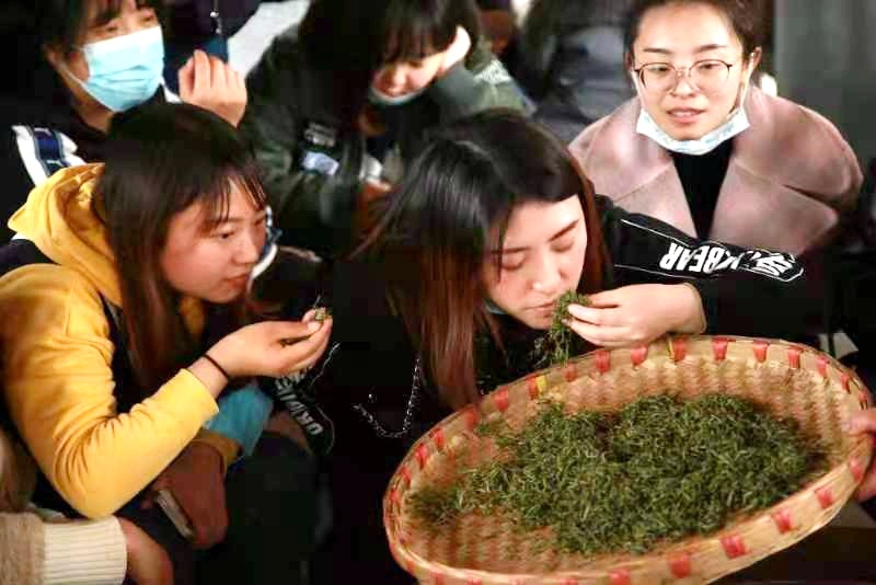 学习茶艺文化感受茶亿百体育APP道魅力她们这样欢庆“三八”妇女节(图1)