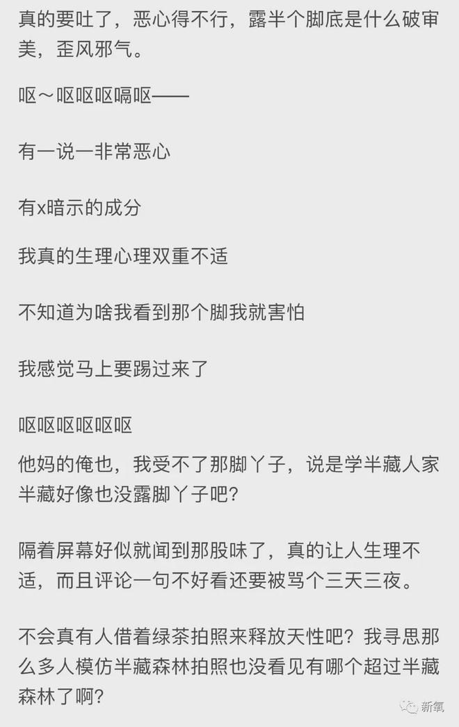 半藏森林带火的茶艺照又翻红了连鞠婧祎都在悄跟着学…(图10)