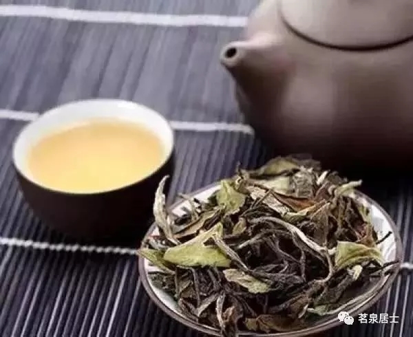 喜迎国际茶日详尽了解浙江名茶录