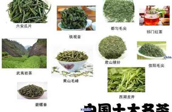 亿百体育APP中国十大名茶排名表：揭晓全国更具名的前十大茶叶(图3)