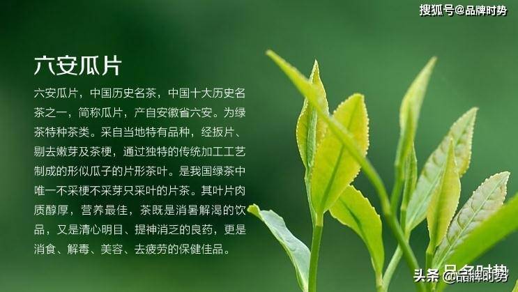 最新中国十大名茶排行榜(图10)