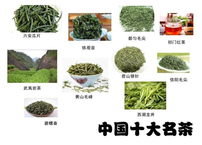 “新十大名茶”成笑话普洱第一龙井第九…谁让炒作没了底线？(图11)