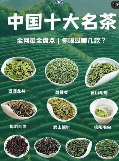 中国茗茶属于哪种茶种？求解(图1)