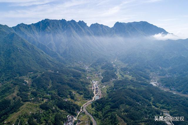 三省七县结合部的大别山新茶一百五一斤到了城市后只能买一两(图1)