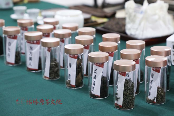 茶香四溢广州市向美而行“茶文化与茶亿百体育下载艺分享”专题点亮市民生活(图8)