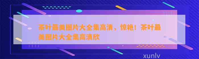 亿百体育网址茶叶最美图片大全集高清惊艳茶叶最美图片大全集高清欣(图1)