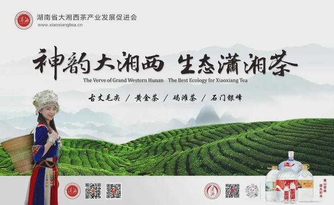 亿百体育下载“龙行十八式”亮相首届“天府非遗周” 蒙山派茶技魅力十足(图5)